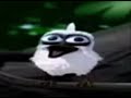 Bird Screaming Meme Bird Screaming Original Meme