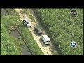 Human remains found near sugar cane field