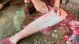 Silver Carp Fish Cutting in Market