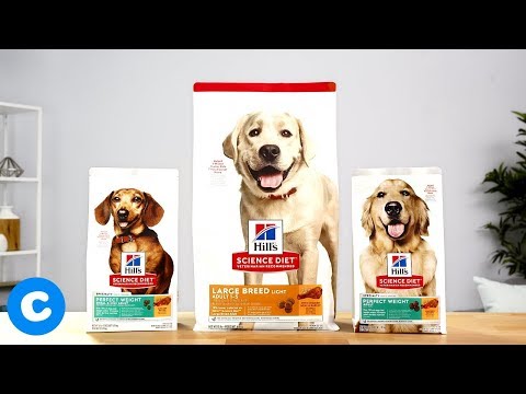 Hill’s Science Diet Weight Management Dog Food | Chewy