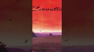 ‘And if I disappointed you’