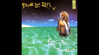 David Lee Roth - Just A Gigolo/I Ain't Got Nobody [Crazy from the Heat]