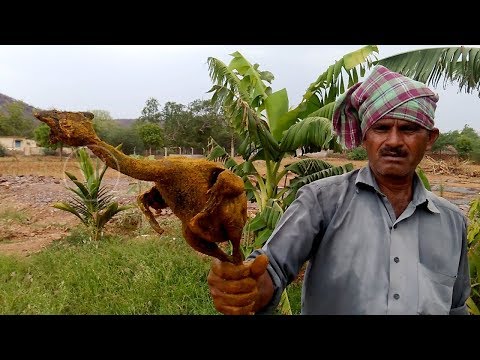 download lagu mp3 mp4 Country Captain Chicken Joy Of Cooking, download lagu Country Captain Chicken Joy Of Cooking gratis, unduh video klip Country Captain Chicken Joy Of Cooking