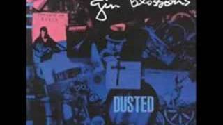 Gin Blossoms original Hey Jealousy &amp; Found Out About You