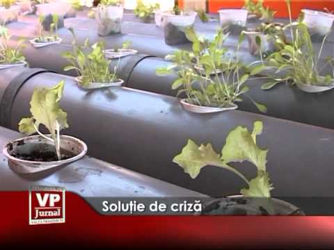 Soluţie de criză
