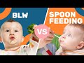 Is Baby-Led Weaning ACTUALLY Better Than Spoon Feeding?