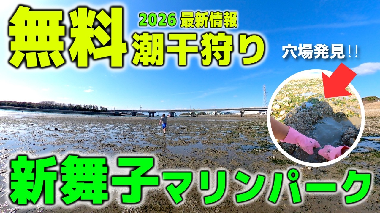 【速報2026年】愛知の無料潮干狩りスポット！新舞子マリンパークの穴場と貝を見つけるコツ
