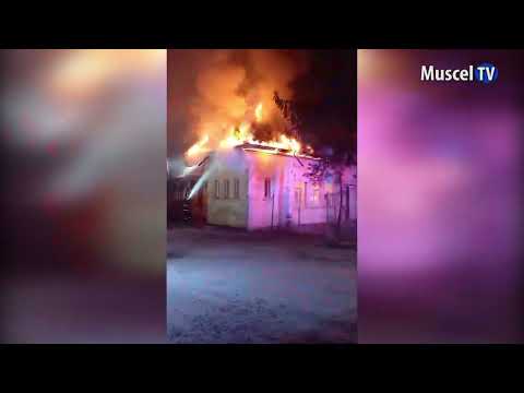 Jurnal MUSCEL TV 12.04.2024 30 de nepalezi au rămas fără cazare în urma unui incendiu la Stâlpeni
