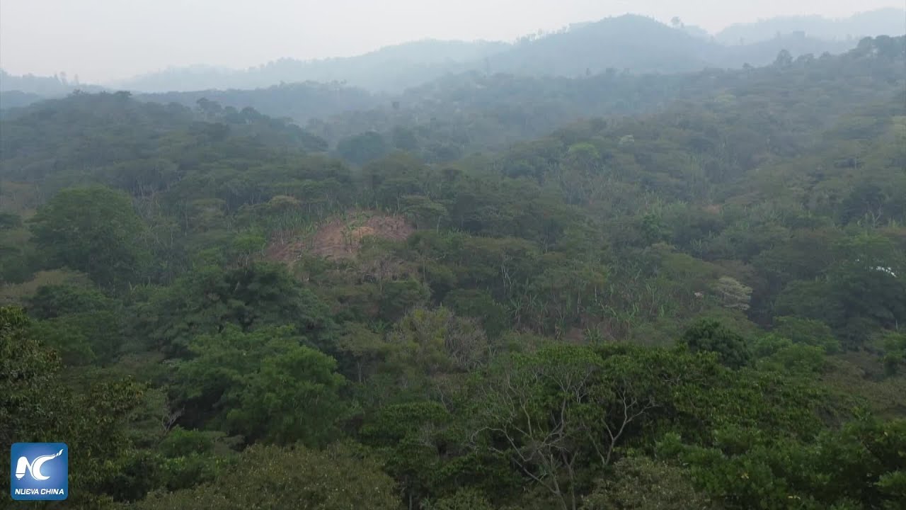 Nicaragua proyecta mayor producción agropecuaria pese a impacto climático de El Niño
