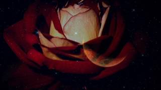 NOCHE NO TE VAYAS        MANOLO MUÑOZ