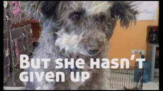 Emergency Rescue South of the Border