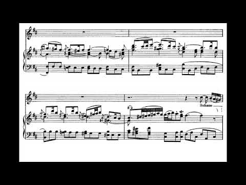 Erbarme dich (Matthäuspassion - J.S. Bach) Score Animation