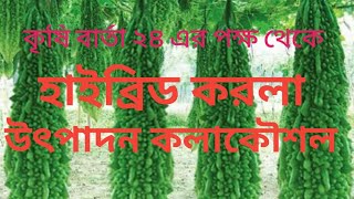বিএডিসি,র উন্নত মানের বীজ