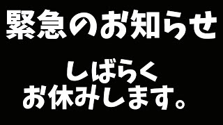 突然ですが…しばらくお休みします。【Vtuber】