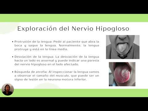 Exploración del par craneal XII (Hipogloso) - Entrevista Clinica Teorico