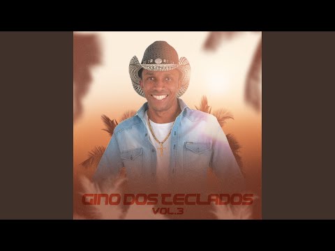 O Bichinho Da Vizinha - Gino Dos Teclados