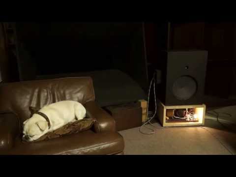 16in transcription The National Guard Show Pro.110 Mindy Carson