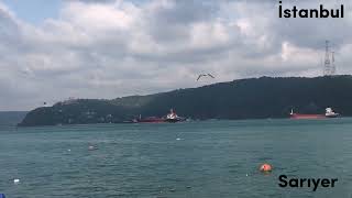 İstanbul | Sarıyer #istanbul #sarıyer  #türkiye #sahil #bosphorus #ship #reels #boat #live #life