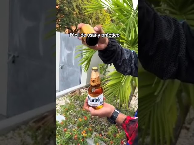 Vídeo relacionado con WHC abridor de cerveza divertido guitarra magnético abridor de acero inoxidable portátil duradero abrebotellas para músicos y regalos