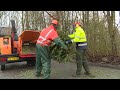 Afgedankte kerstbomen in Noordoostpolder toch nog heel waardevol