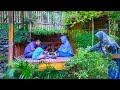 Very Delicious Simple Village Cuisine Living In The Village