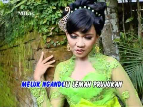 download lagu mp3 mp4 Kembang Galengan Kendang Kempul Banyuwangi Terbaru, download lagu Kembang Galengan Kendang Kempul Banyuwangi Terbaru gratis, unduh video klip Kembang Galengan Kendang Kempul Banyuwangi Terbaru