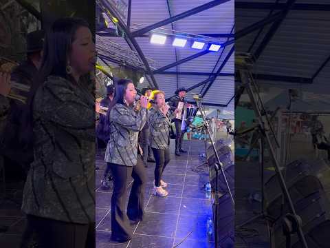 “GAVIOTA TRAIDORA” Desde La Granja- Sucre / Santander 👏