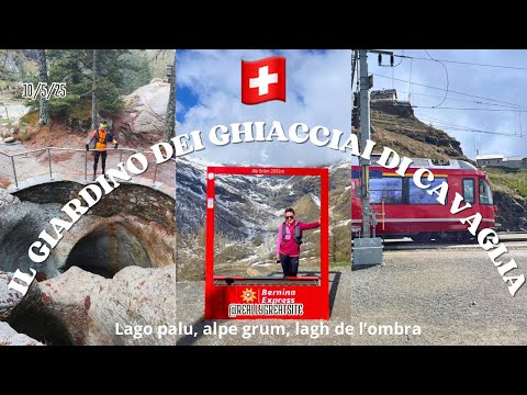 10/5/25 il giardino dei ghiacciai di Cavaglia 🇨🇭- lago palu, alpe grum e lagh de l’ombra