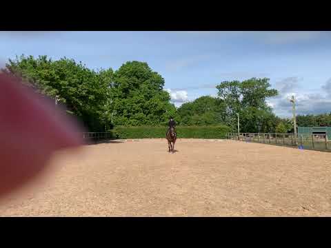 BE90 Dressage Test 96 (2016) Bethan Moore, Mr Max III