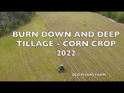 BURN DOWN and DEEP TILLAGE - Corn Crop 2022 (Old Rivers Farm)