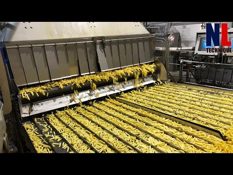 , title : 'Amazing Modern French Fries Manufacturing Process - How Billion Of Tons Chips Are Made'