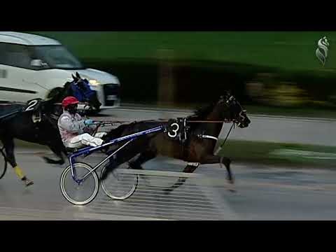 Aversa trotto 26 Novembre 2022 - 6° Corsa