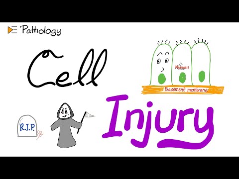 Introduction to Pathology - Cell Injury - A New Pathology Series