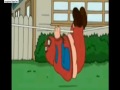 Family Guy - Spiderman 