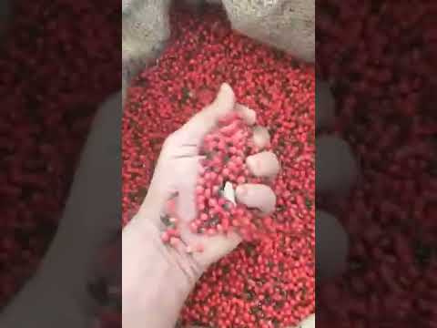 Red Chirmi Beads
