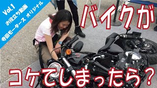 HARLEY DAVIDSON 車両引き起こし