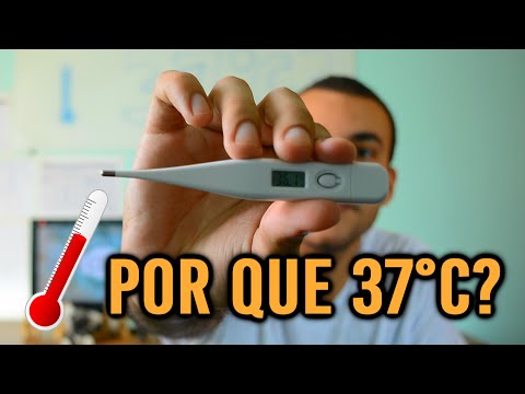 Por que a temperatura do corpo é 37ºC?