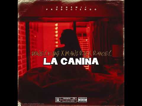DOWEL KING  ❌ El Mawi RD ❌ R4NCEL - La Canina (Audio Oficial) Prod By @zenemij