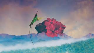 Zara McFarlane   Future Echoes