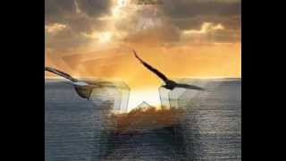 Ali e Radici - Eros Ramazzotti.wmv