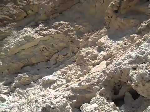 Montezuma Castle National Monument Video 5