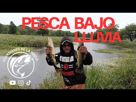 “La Lluvia Trajo la Acción: Tarariras a full en Colonia del sacramento.”