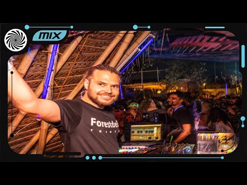 Mechanical Species - Dusk till Dawn [Trancentral Mix 195]