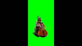 Download lagu green screen kucing bermain biola mp3