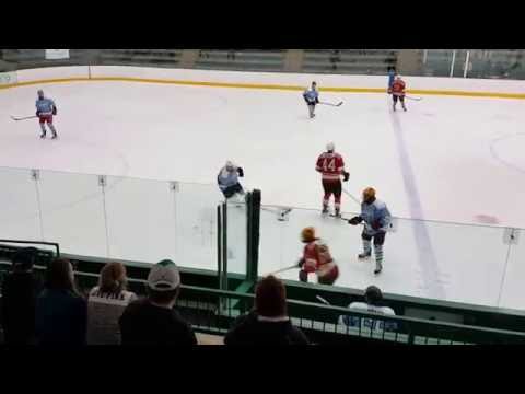 2016-07-28 da beauty hockey league velocity vs walser automotive 910pm