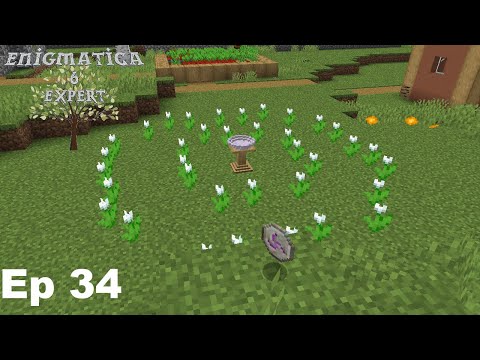 Enigmatica 6 Expert Mode - Ep 34 Mana Rune