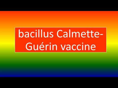 Bacillus Calmette-Guerin strain ONCO- BCG 40 MG, 2 ml