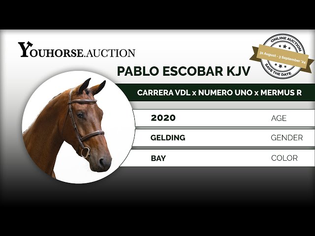 Pablo Escobar rideabillity