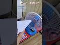 Instructions How To Make A Paper Airplane That Flies Forever