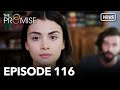 The Promise Episode 116 Hindi Dubbed